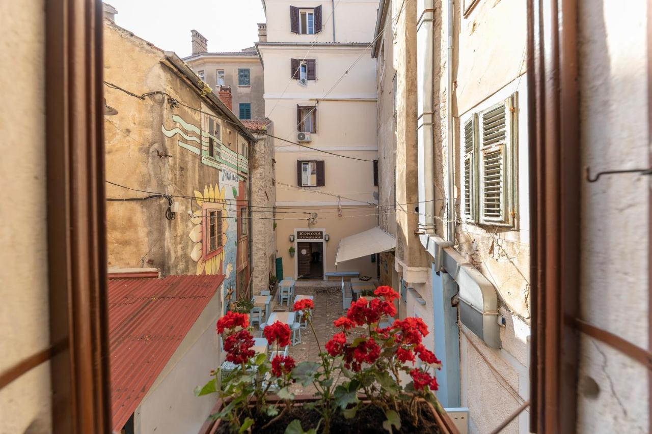 Apartman Varosino *